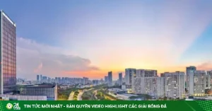 Giai ma suc song loi